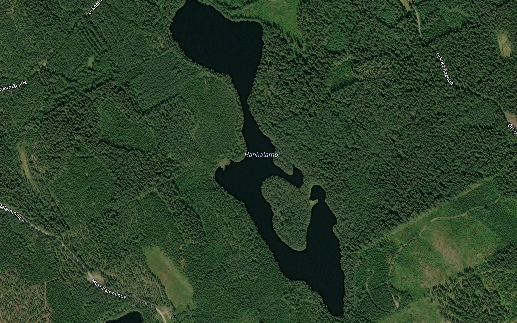 Satellite map of the Hankalampi