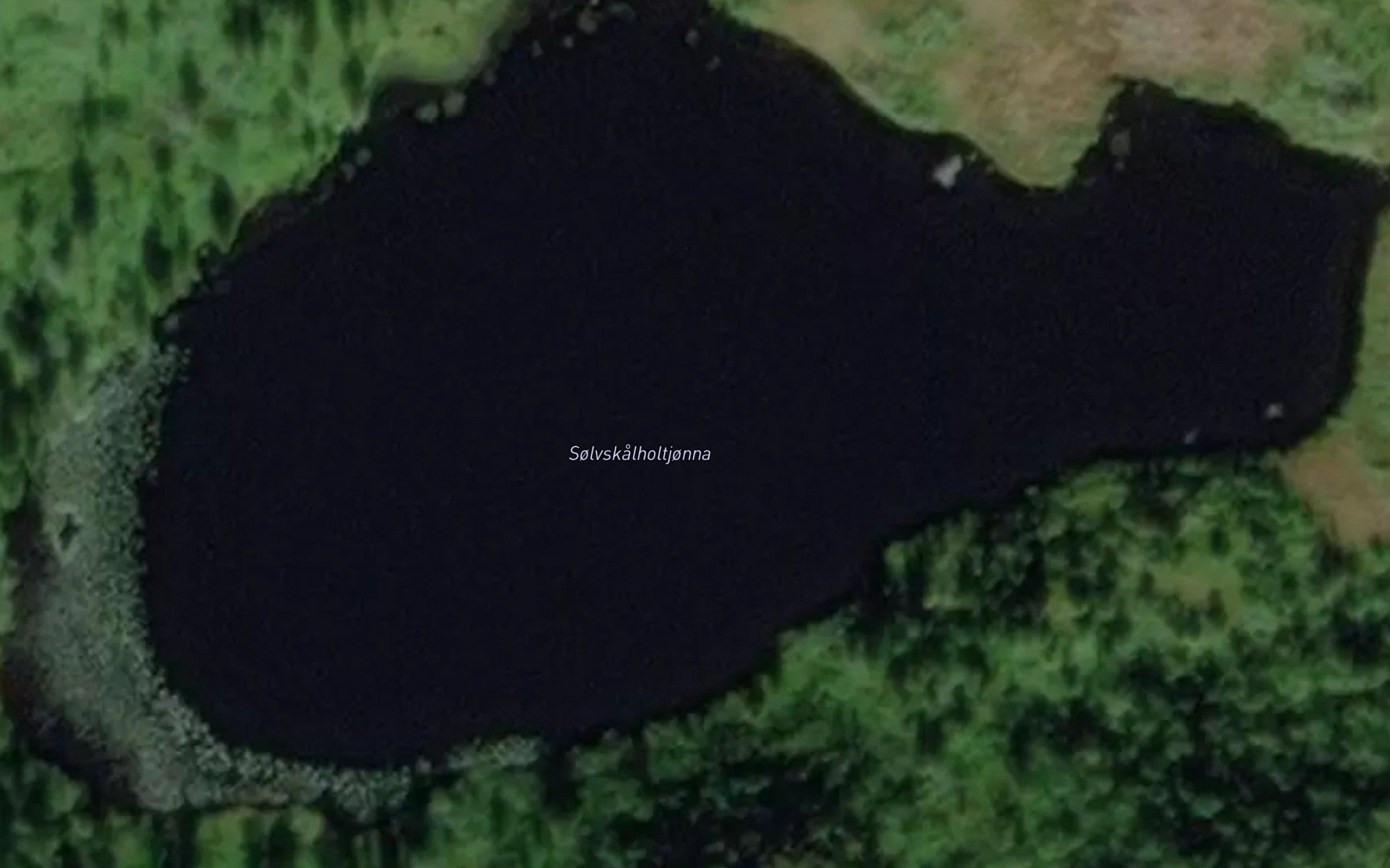Solvskalholtjonna