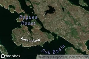 Lower Arm of the Roost