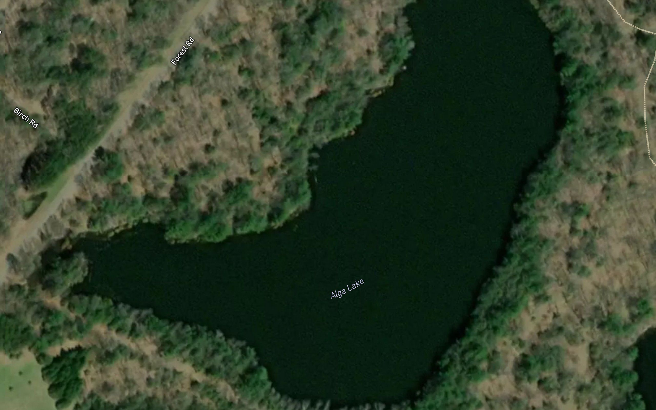 Alga Lake