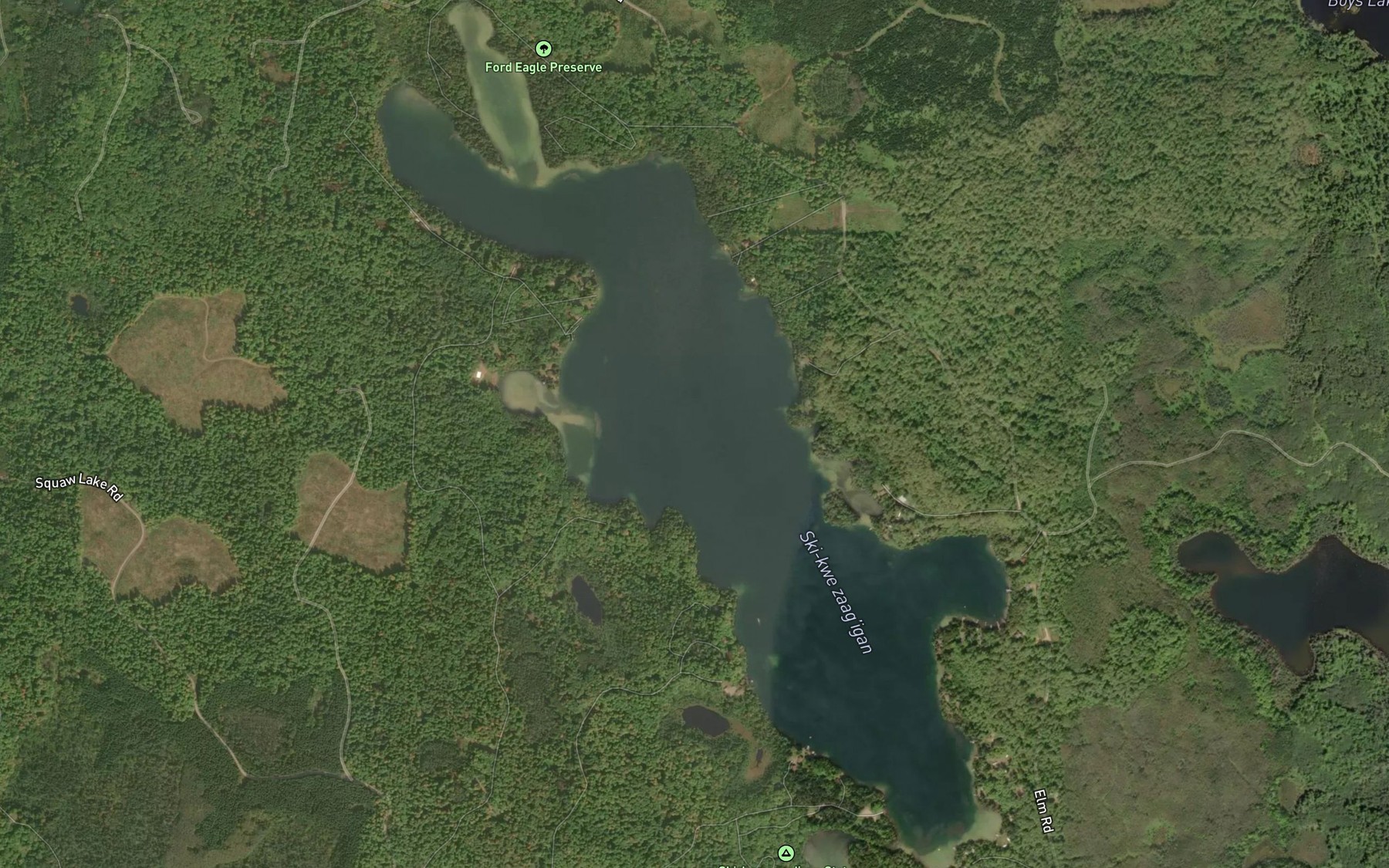 Satellite map of the Squaw Lake