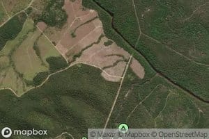Stony Creek