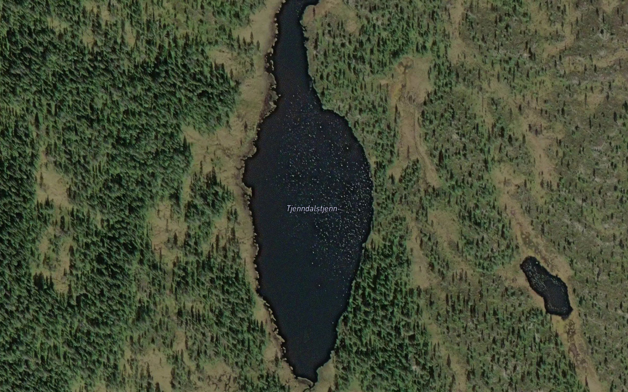 Tjerndalstjern