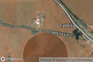 Tabbita Tank