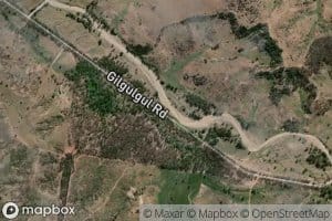 Bluey Creek