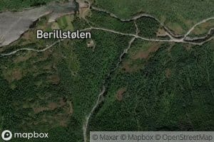 Fremste Storstaugrova