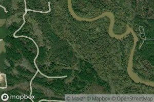 Hickory Tree Flat Slough