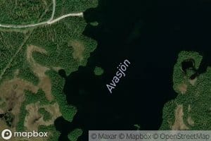 Avasjon