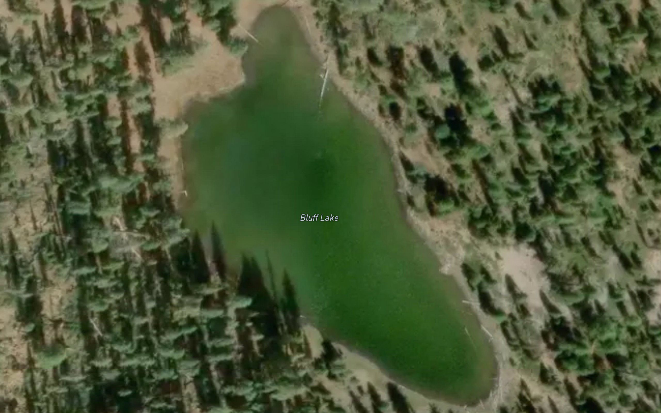 Bluff Lake