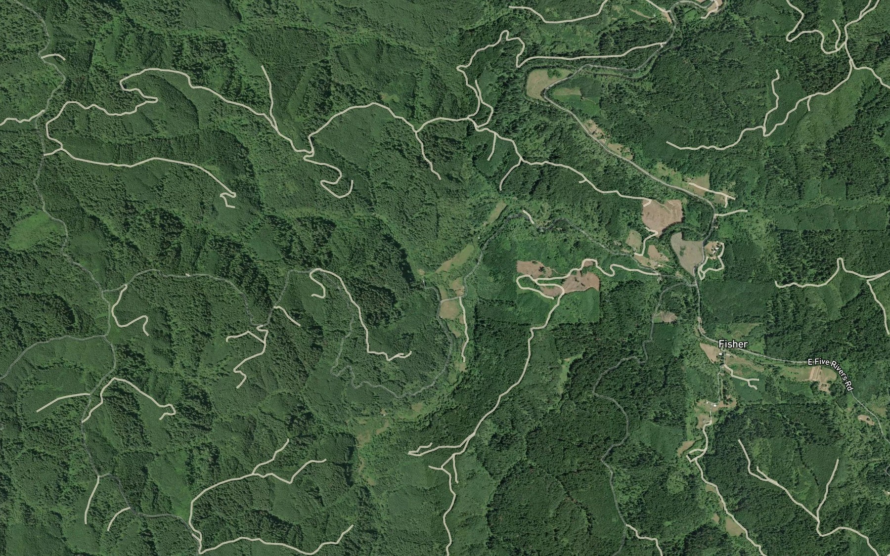 Satellite map of the Wilson Creek