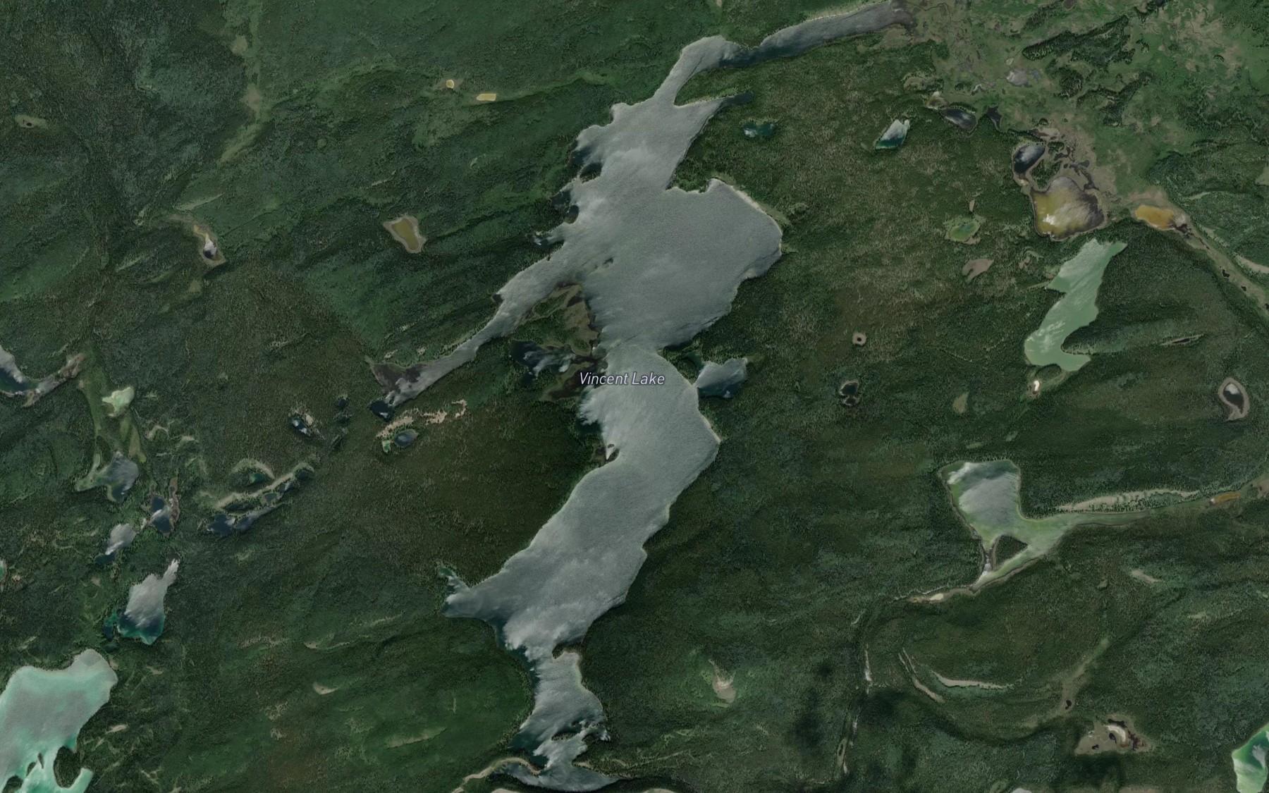 Satellite map of the Vincent Lake