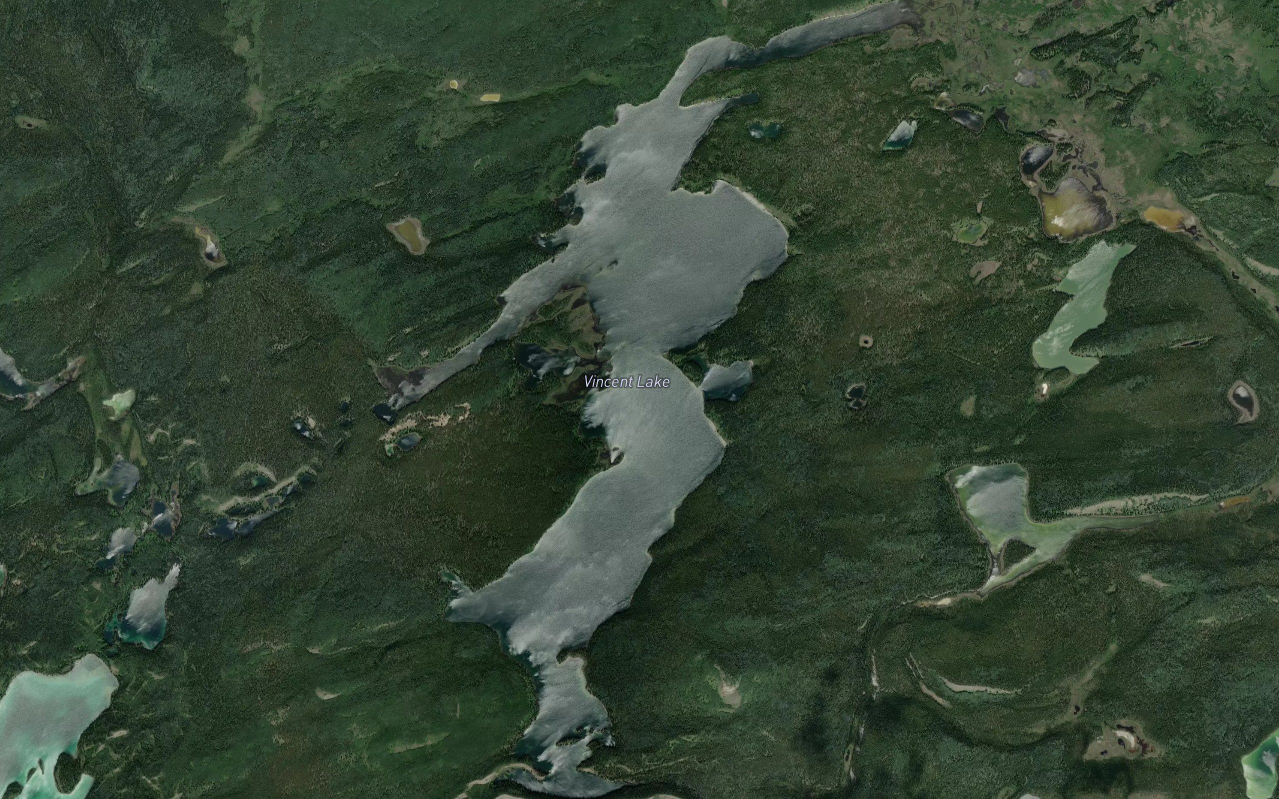 Vincent Lake