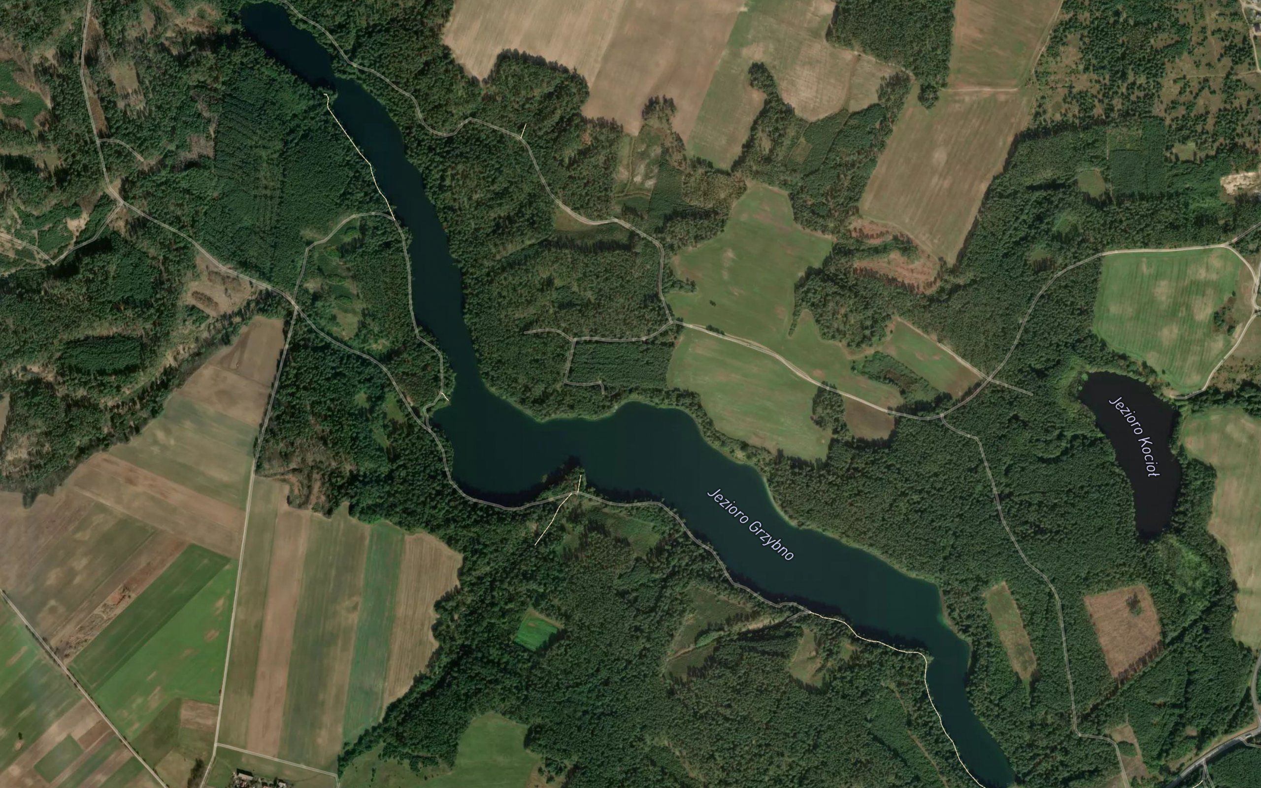 Jezioro Grzybno