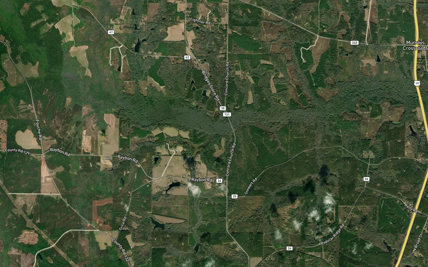 Satellite map of the Rice Branch