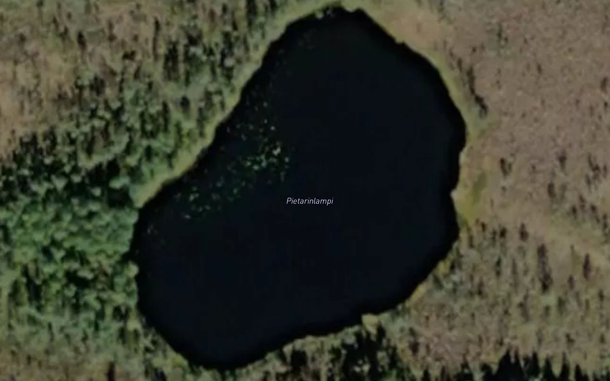 Pietarinlampi