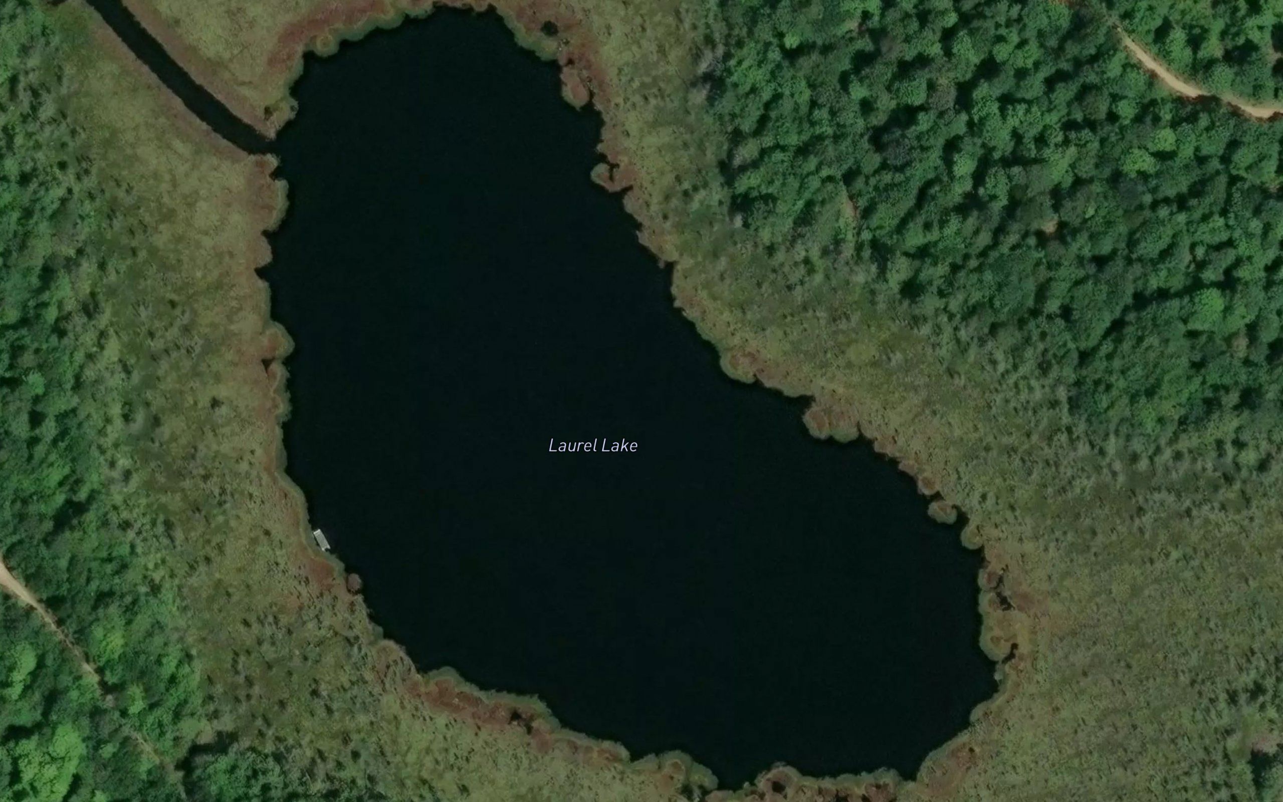 Laurel Lake