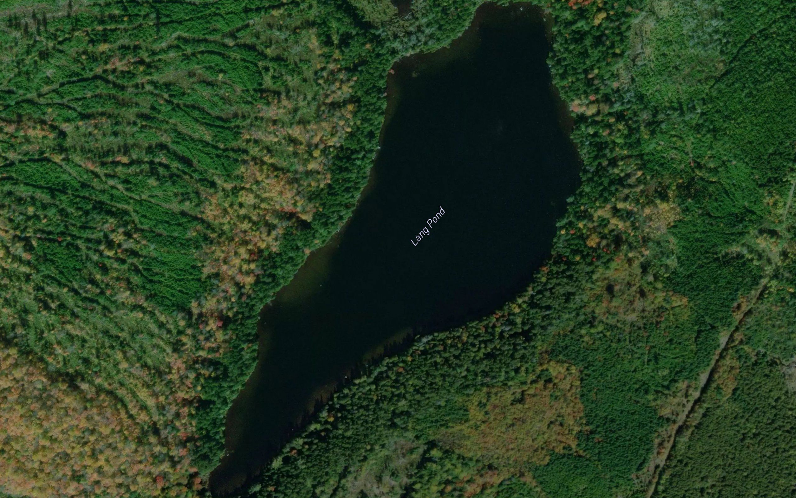 Lang Pond