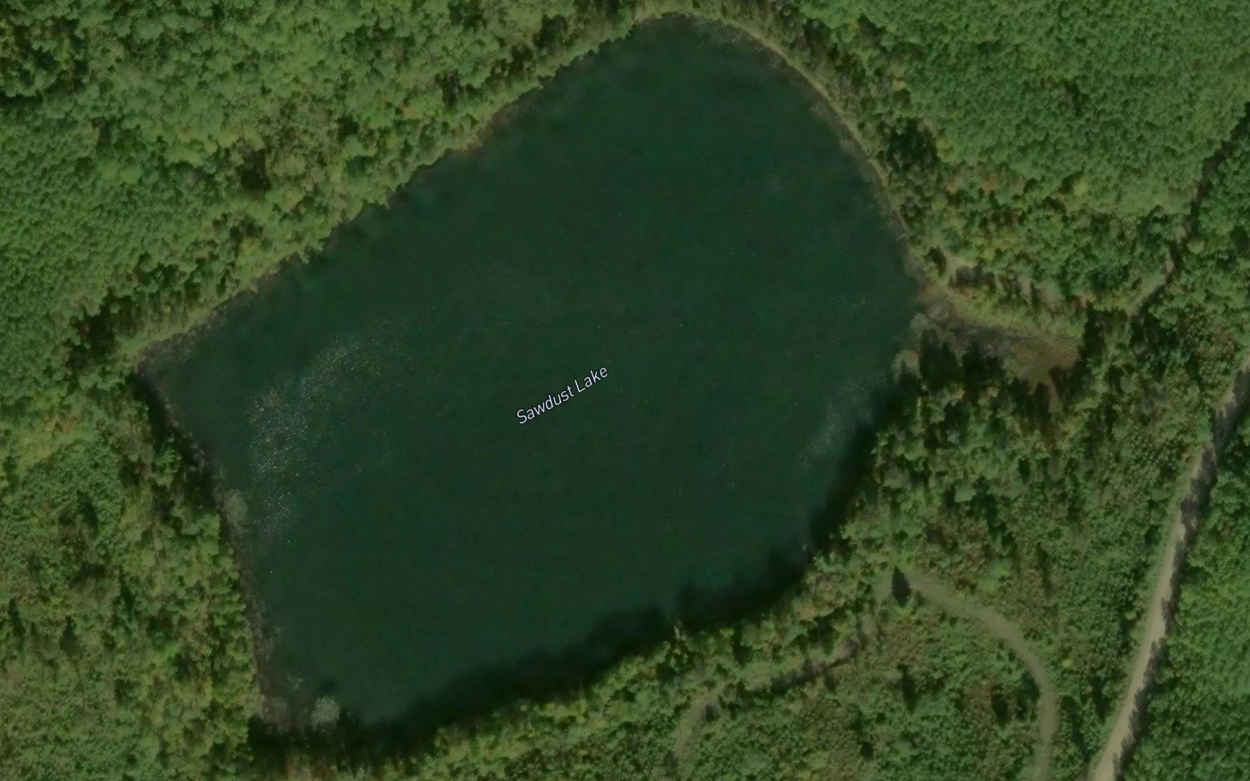 Satellite map of the Sawdust Lake