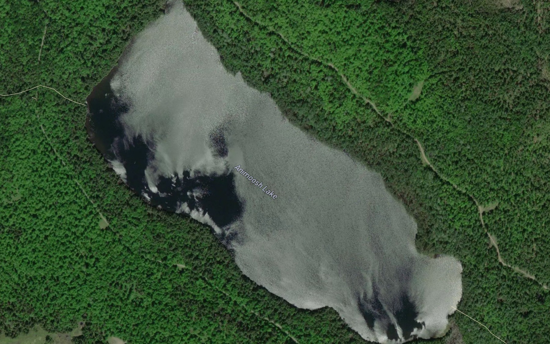 Satellite map of the Animoosh Lake