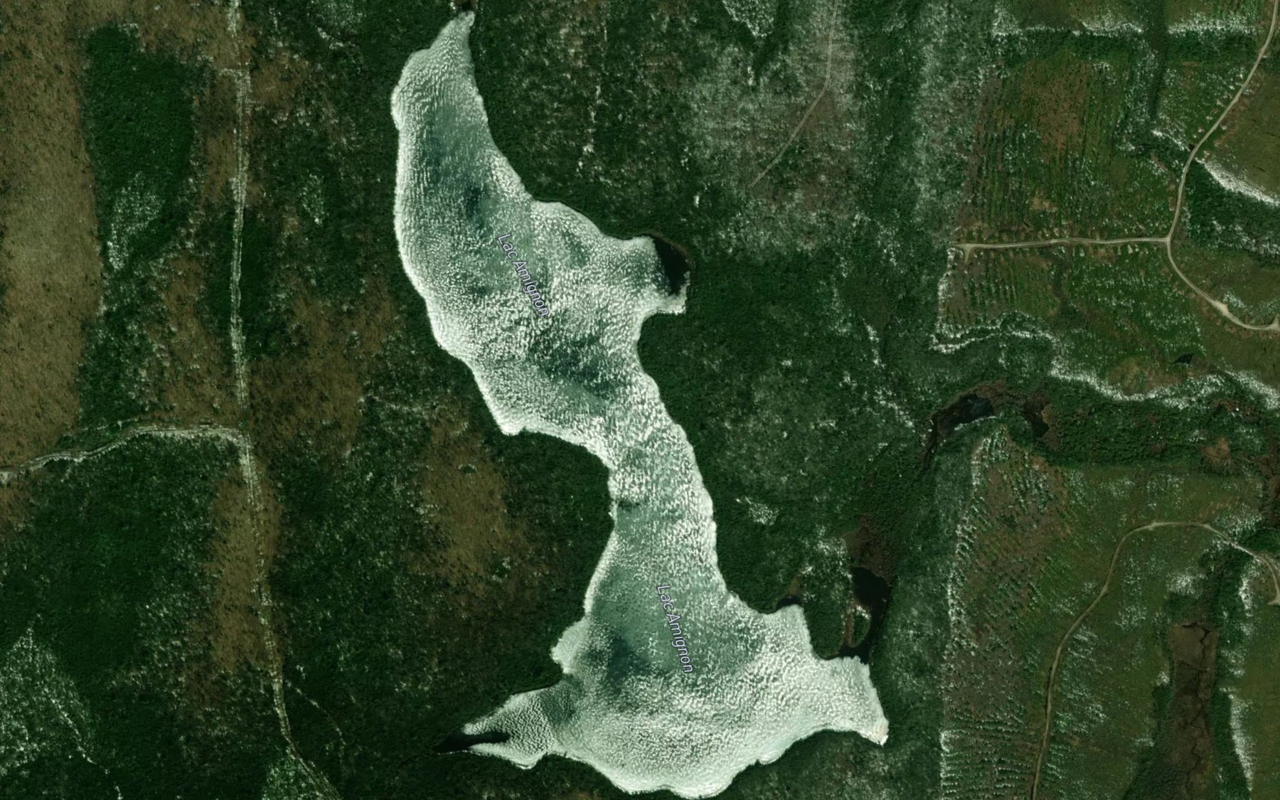 Satellite map of the Lac Amignon