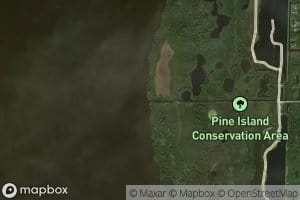 Pine Island Creek
