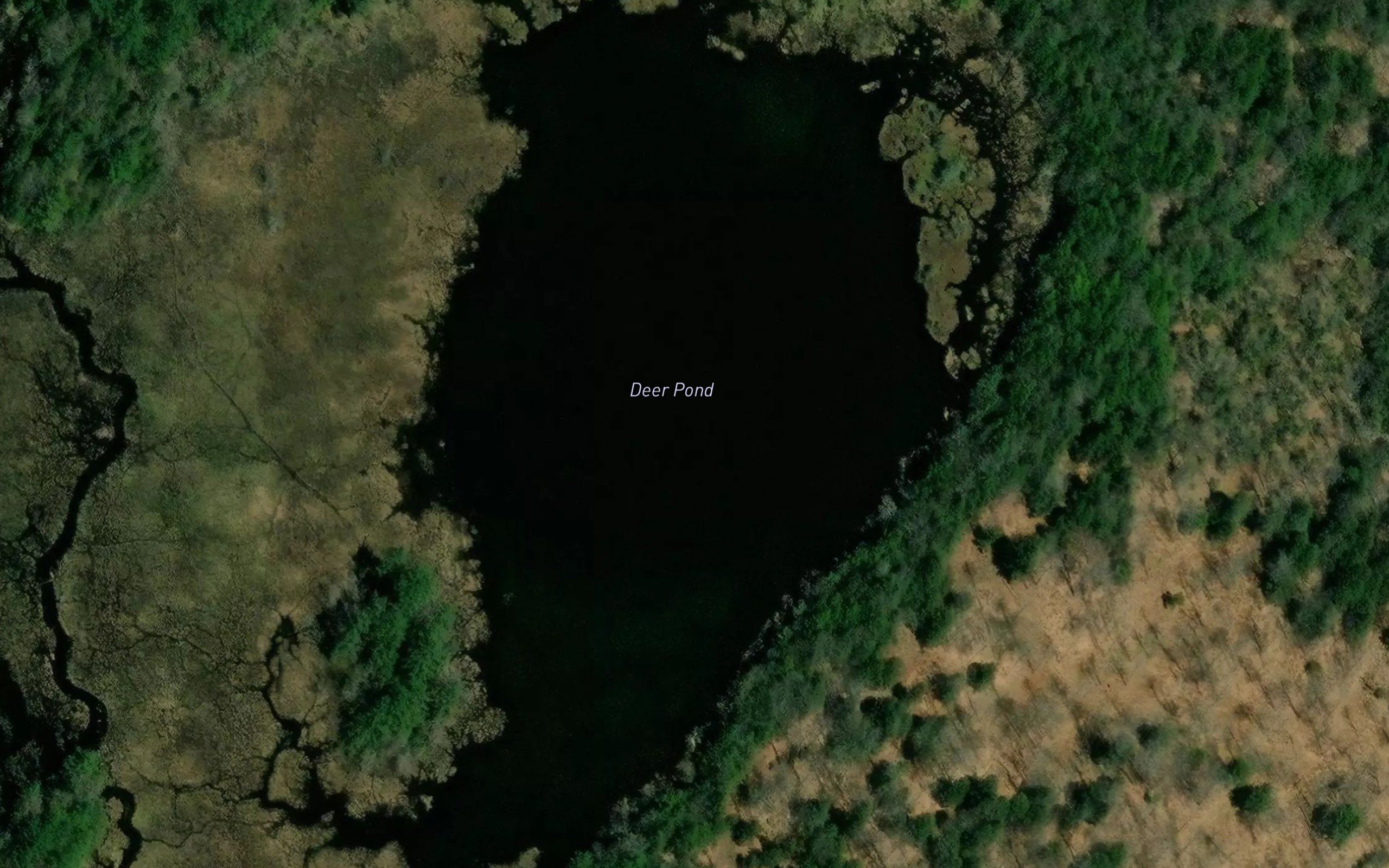 Deer Pond