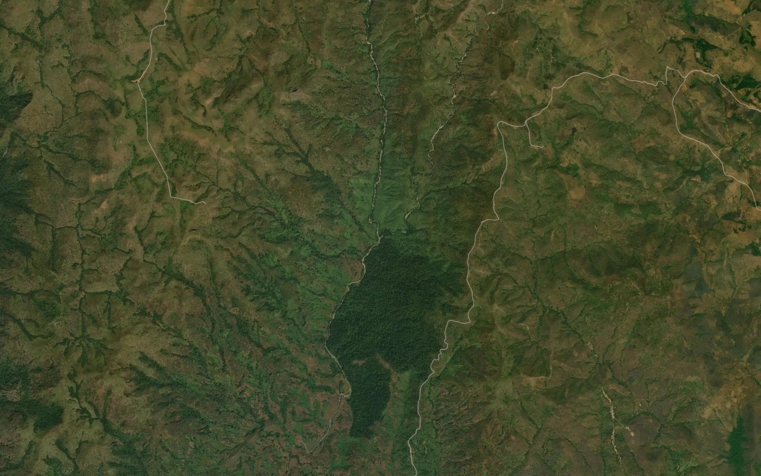 Wauru