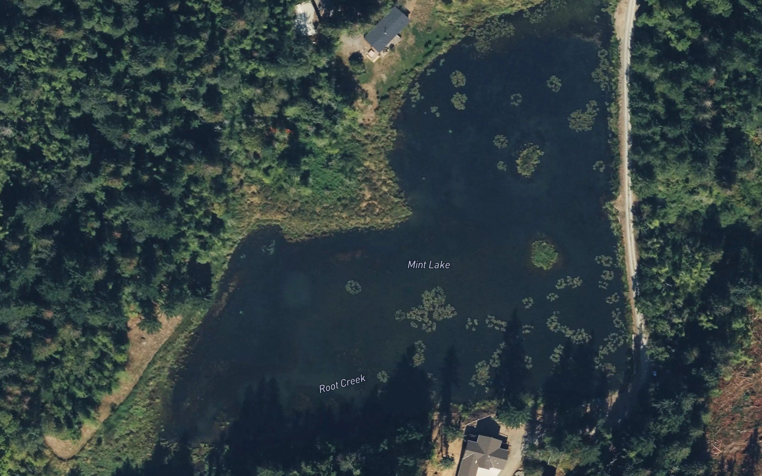 Mint Lake