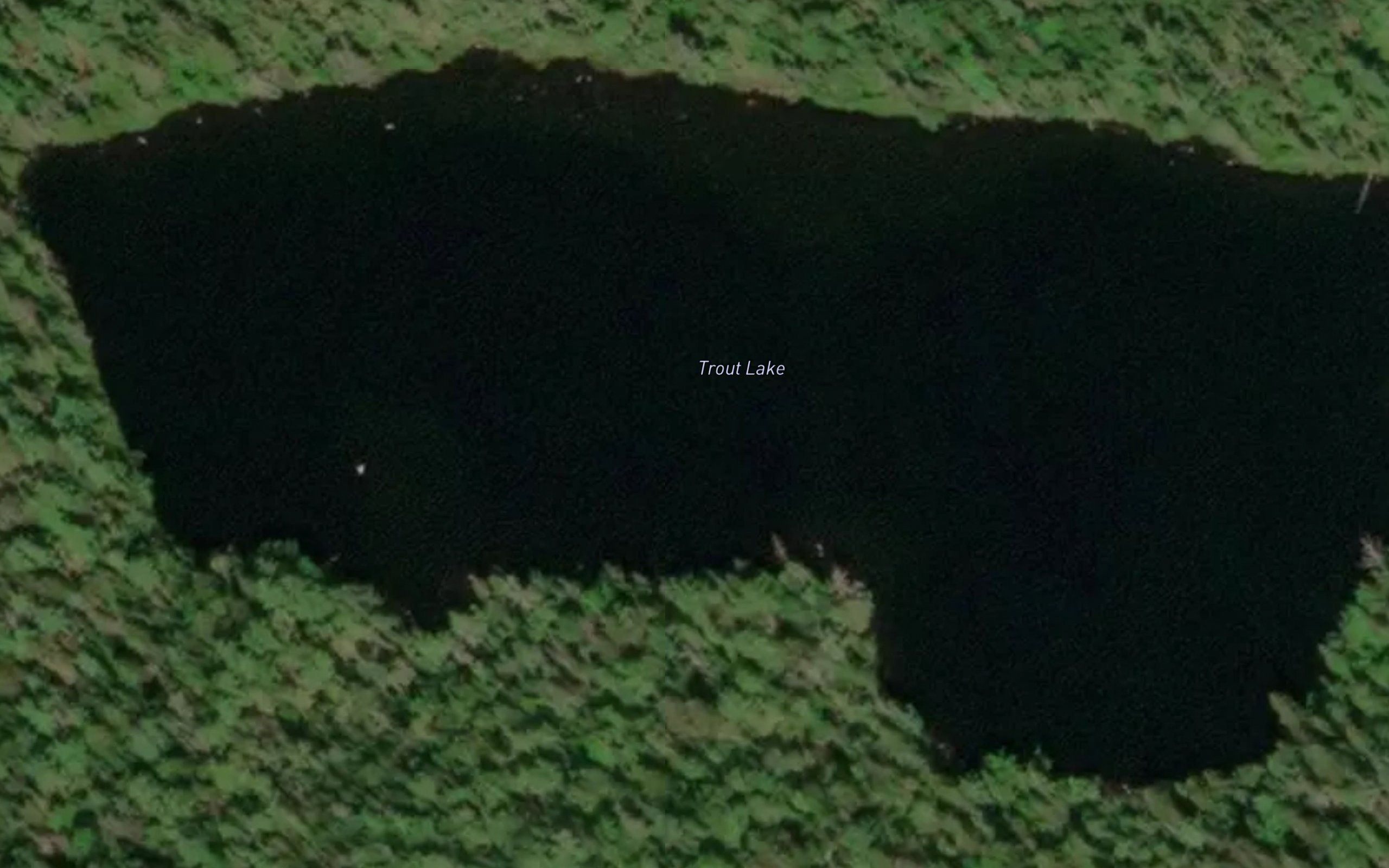 Trout Lake
