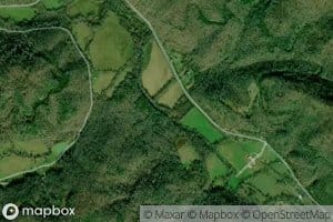 Al Branch