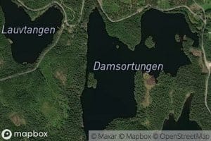 Damsortungen