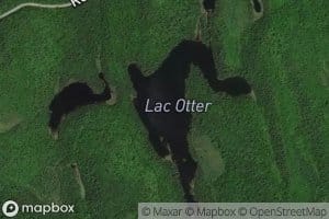 Lac Otter