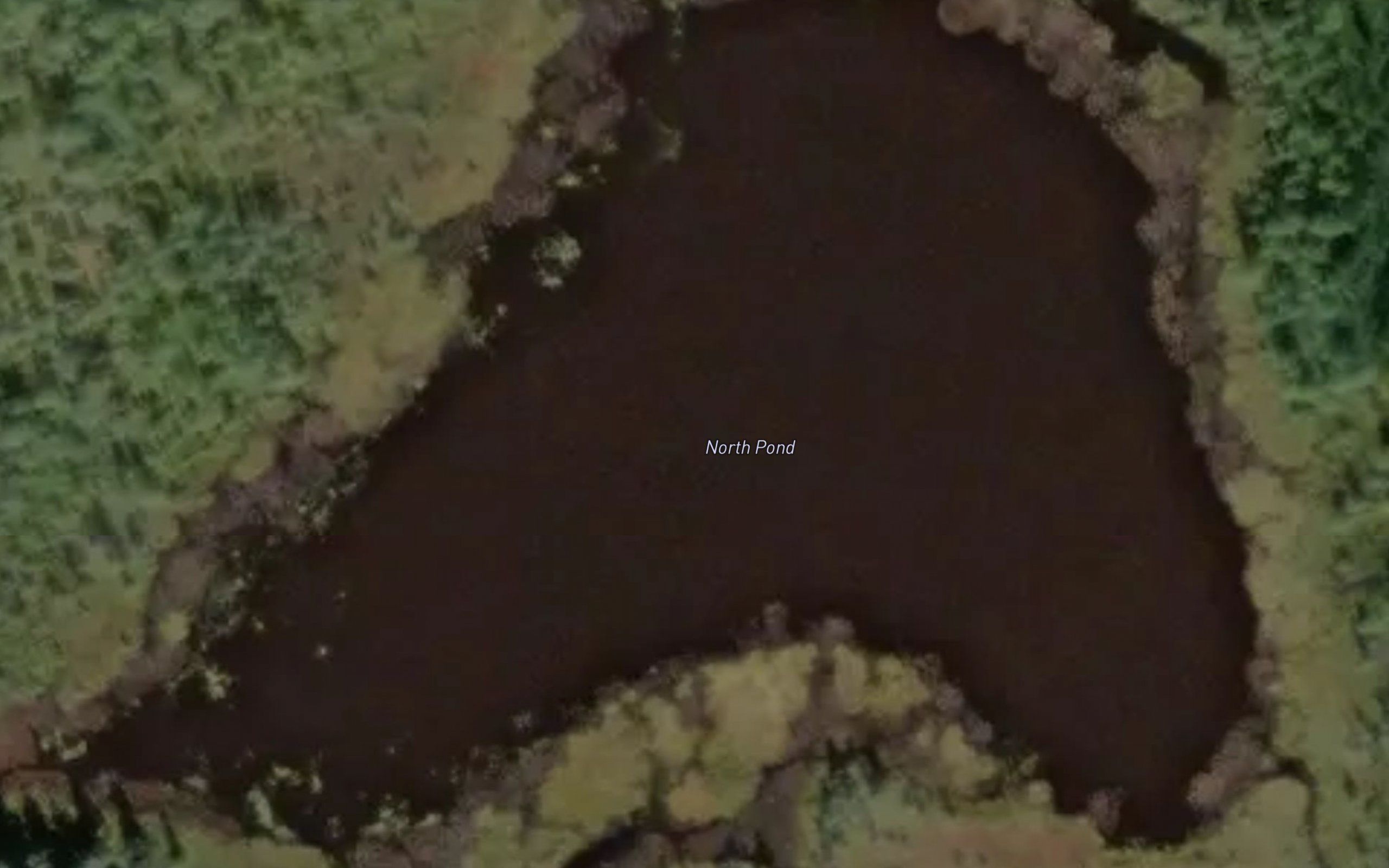 North Pond