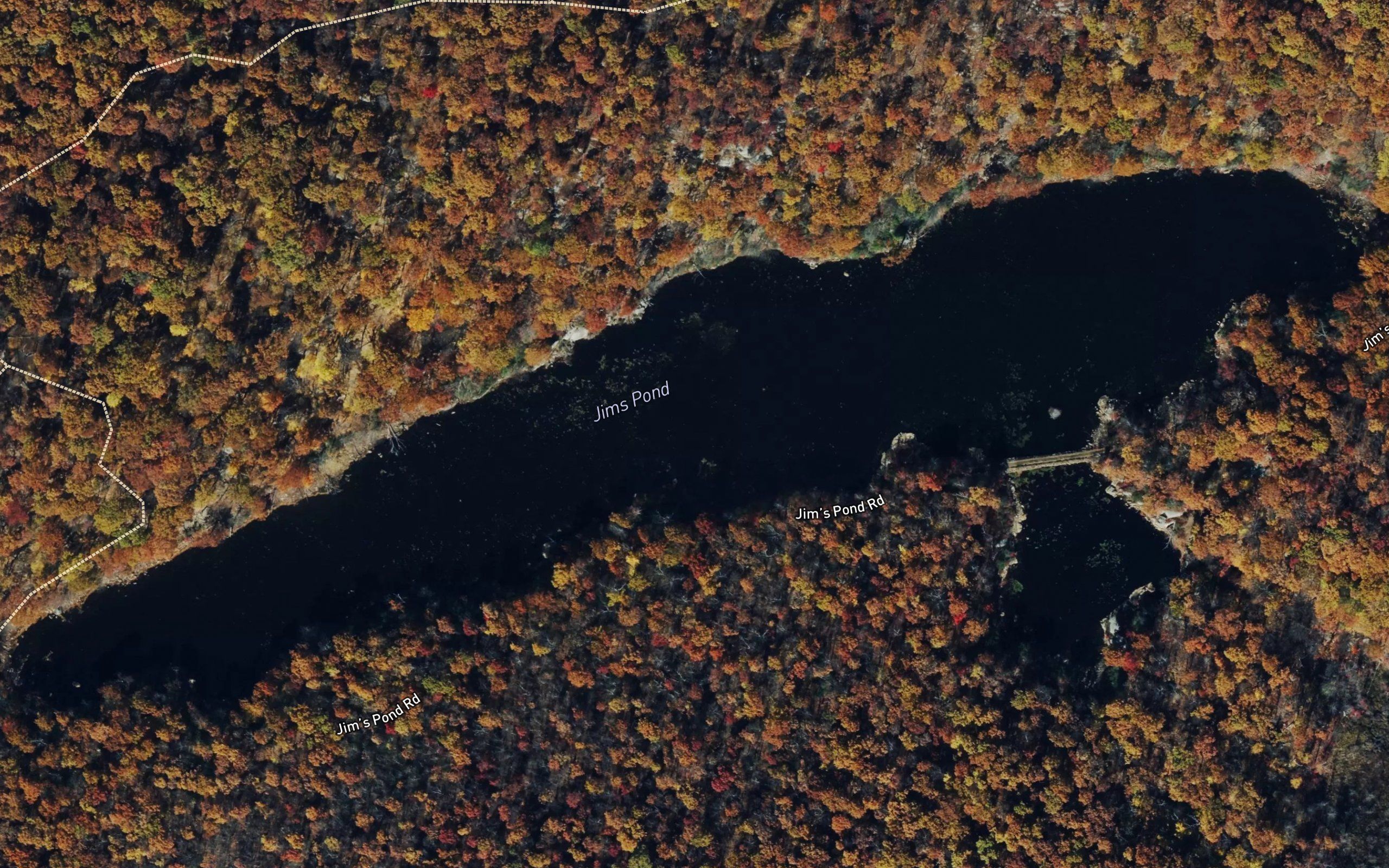Jims Pond
