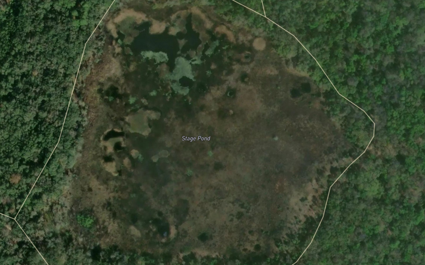 Satellite map of the Stage Pond