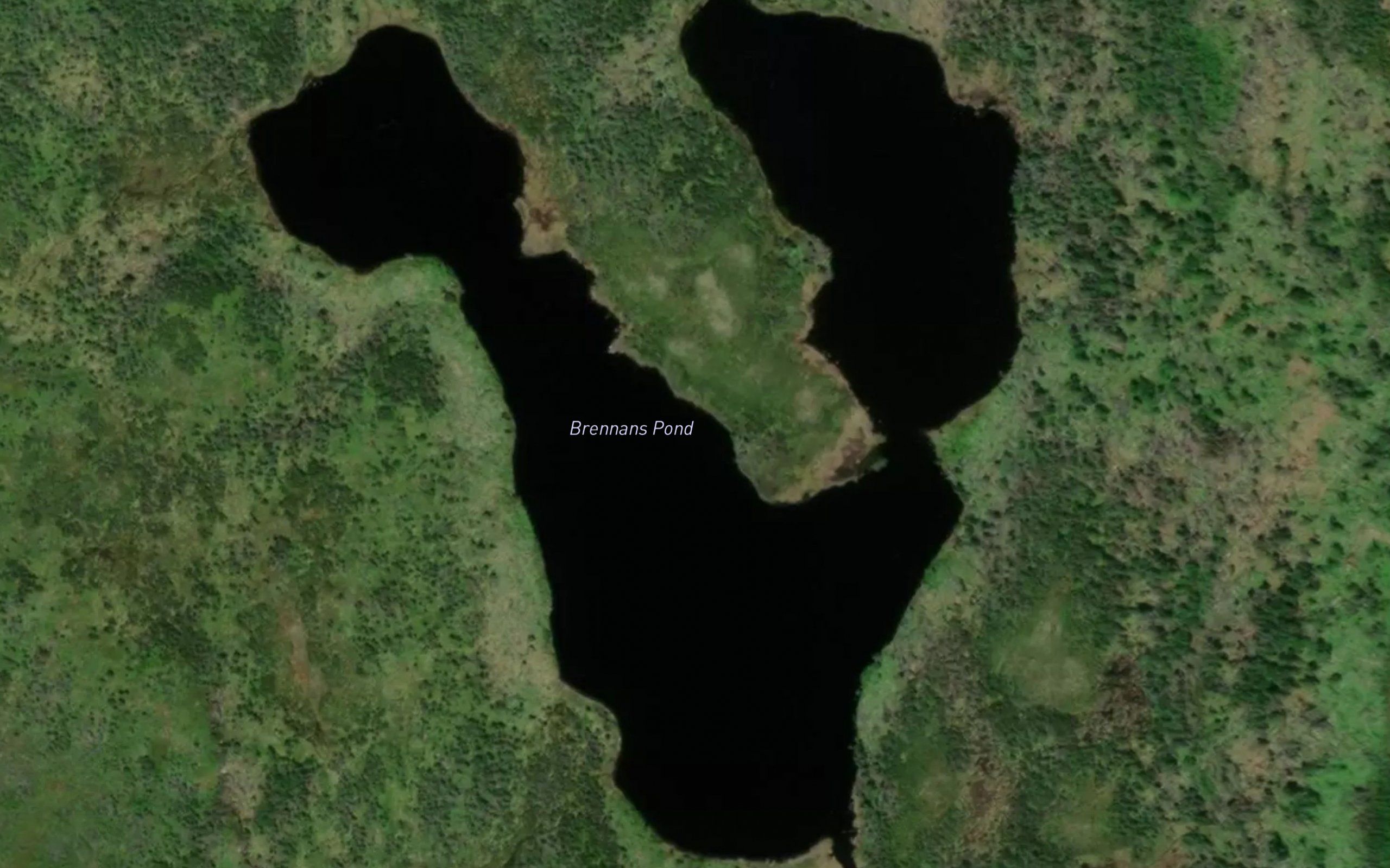 Brennans Pond