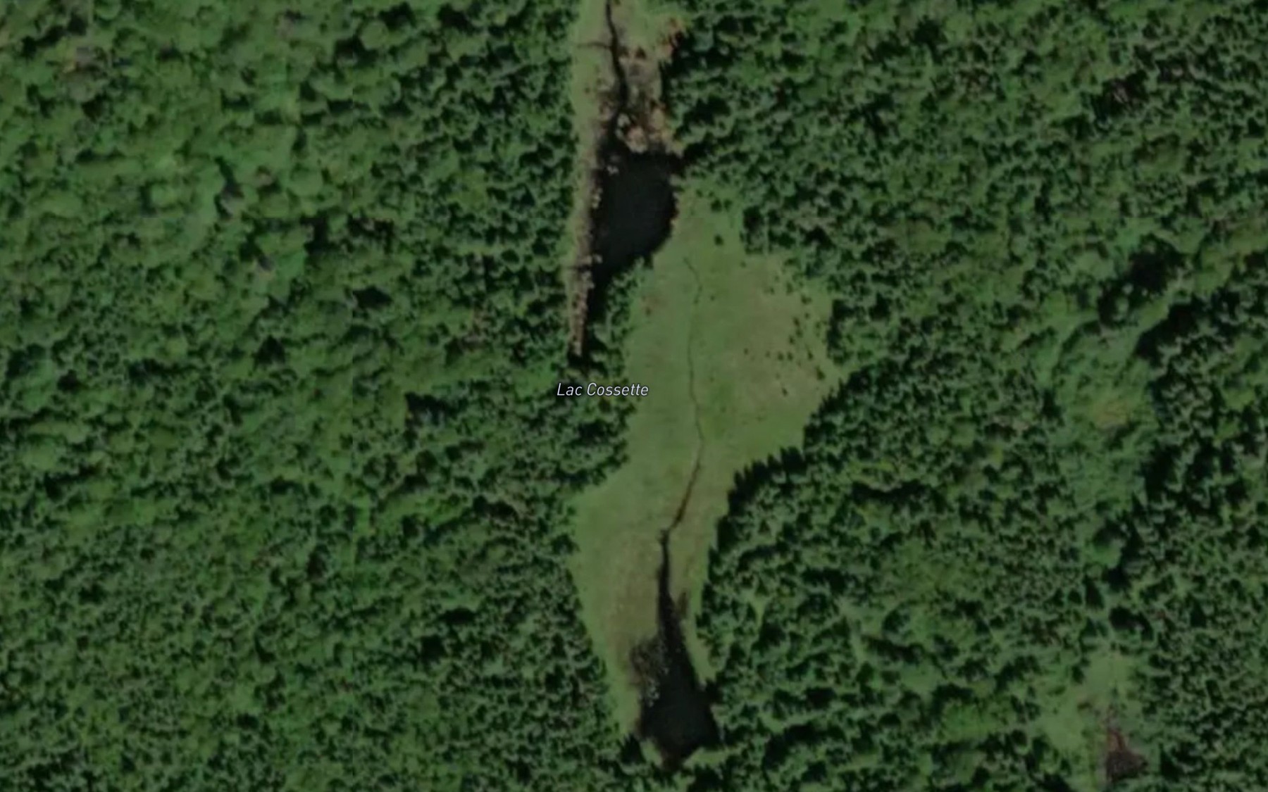 Satellite map of the Lac Cossette