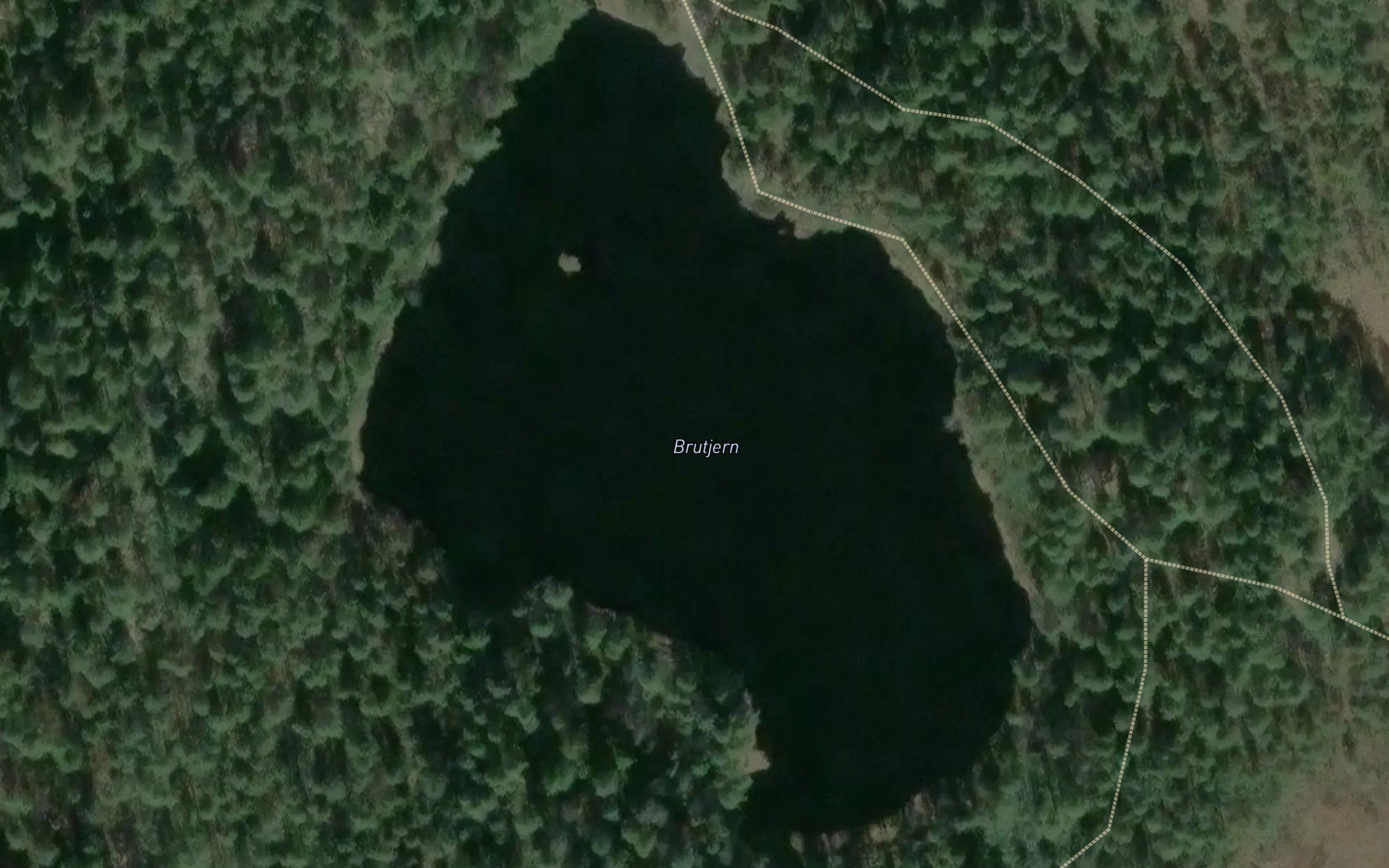 Brutjern