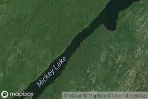 Mickey Lake