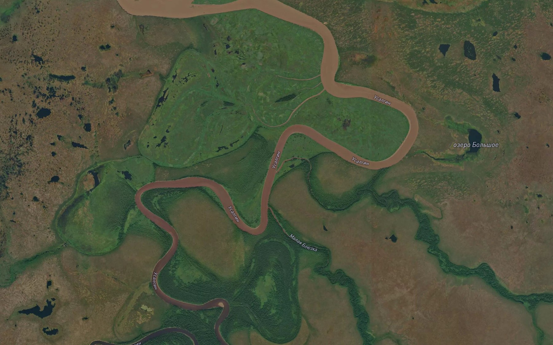 Satellite map of the Bol'shaya Blyuzka