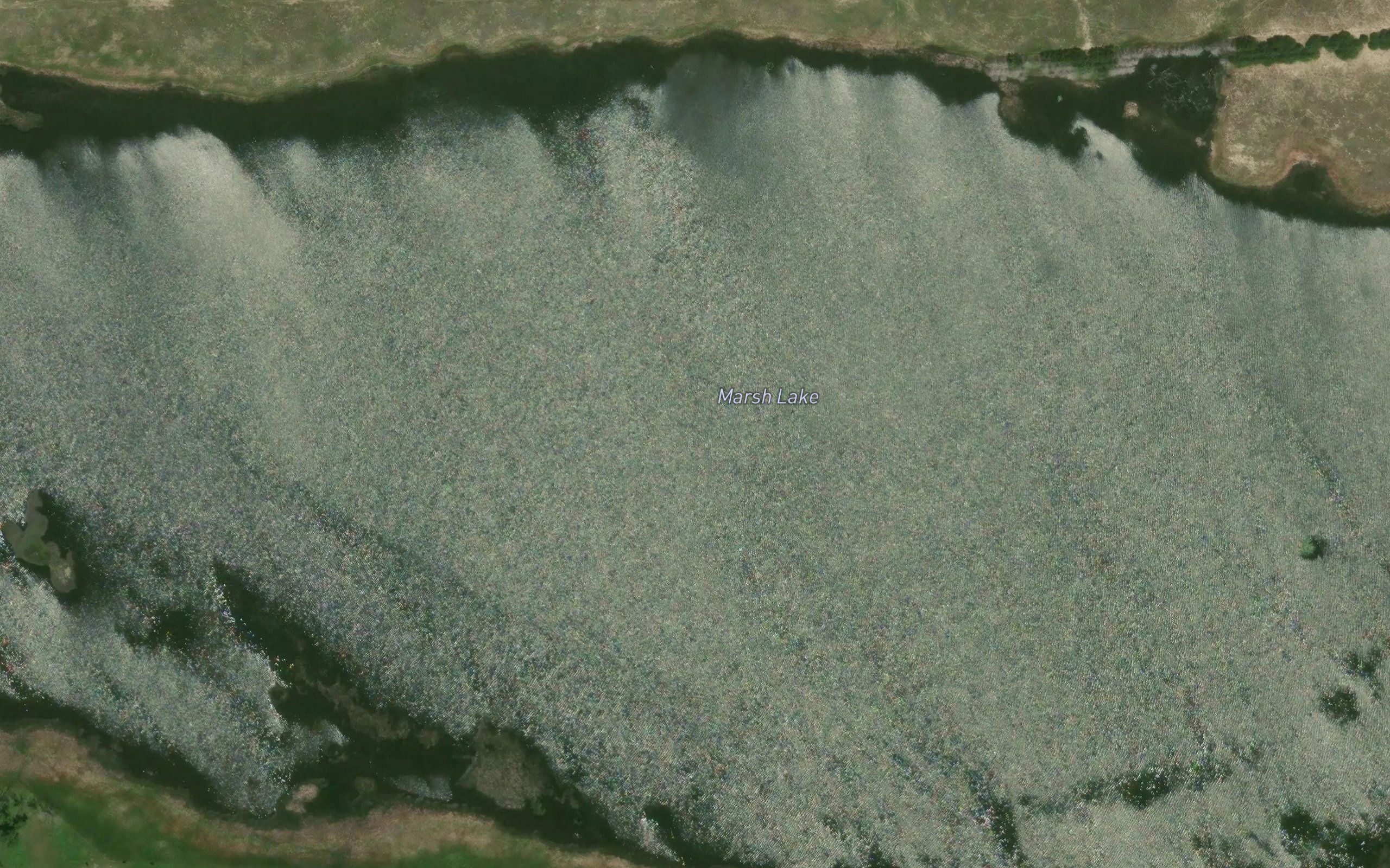 Marsh Lake