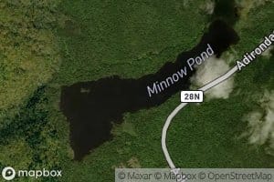 Minnow Pond
