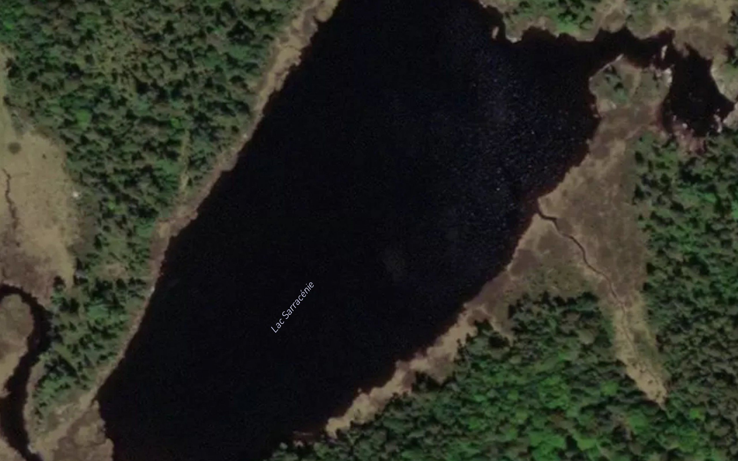 Lac Sarracenie