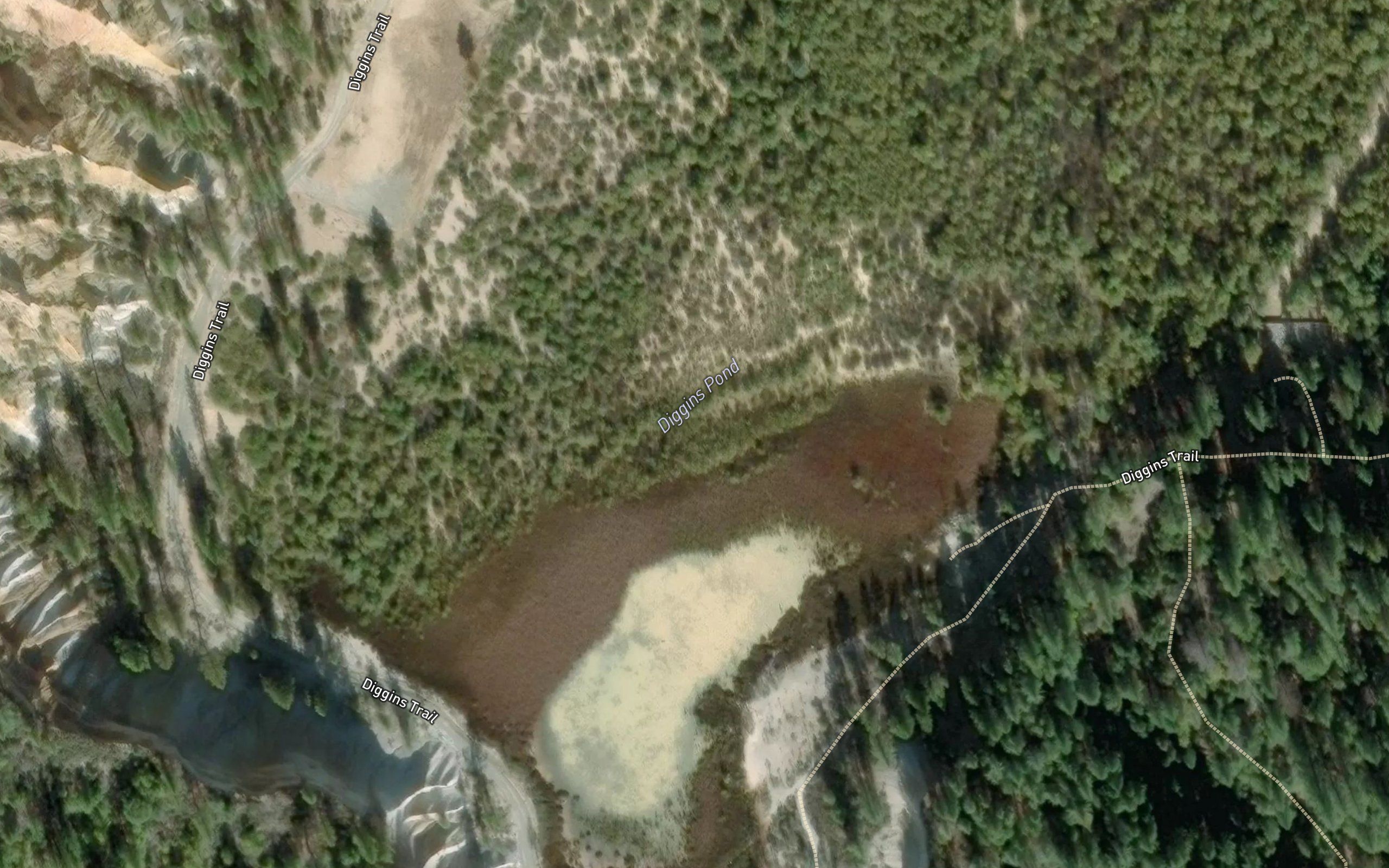 Diggins Pond