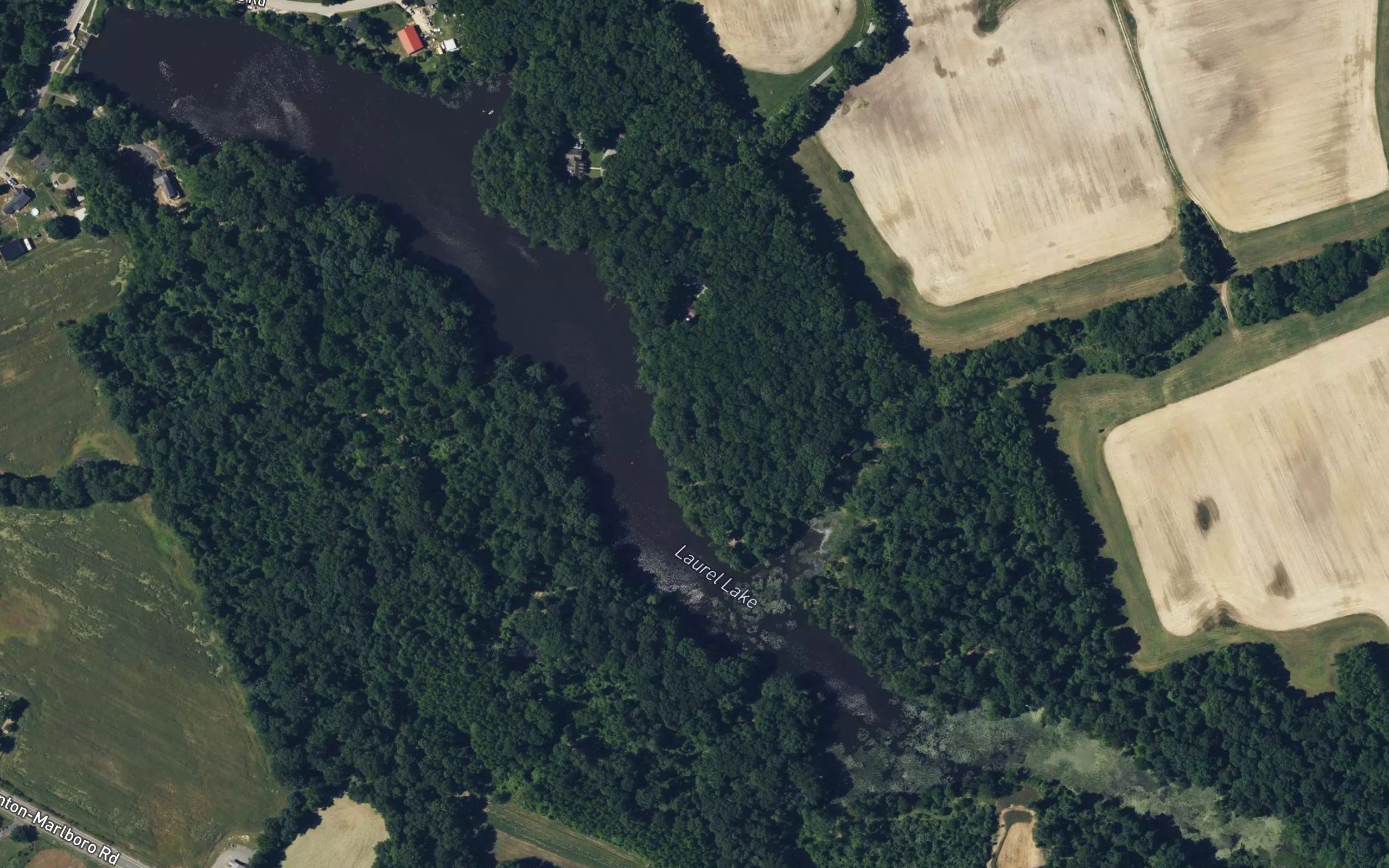 Laurel Lake