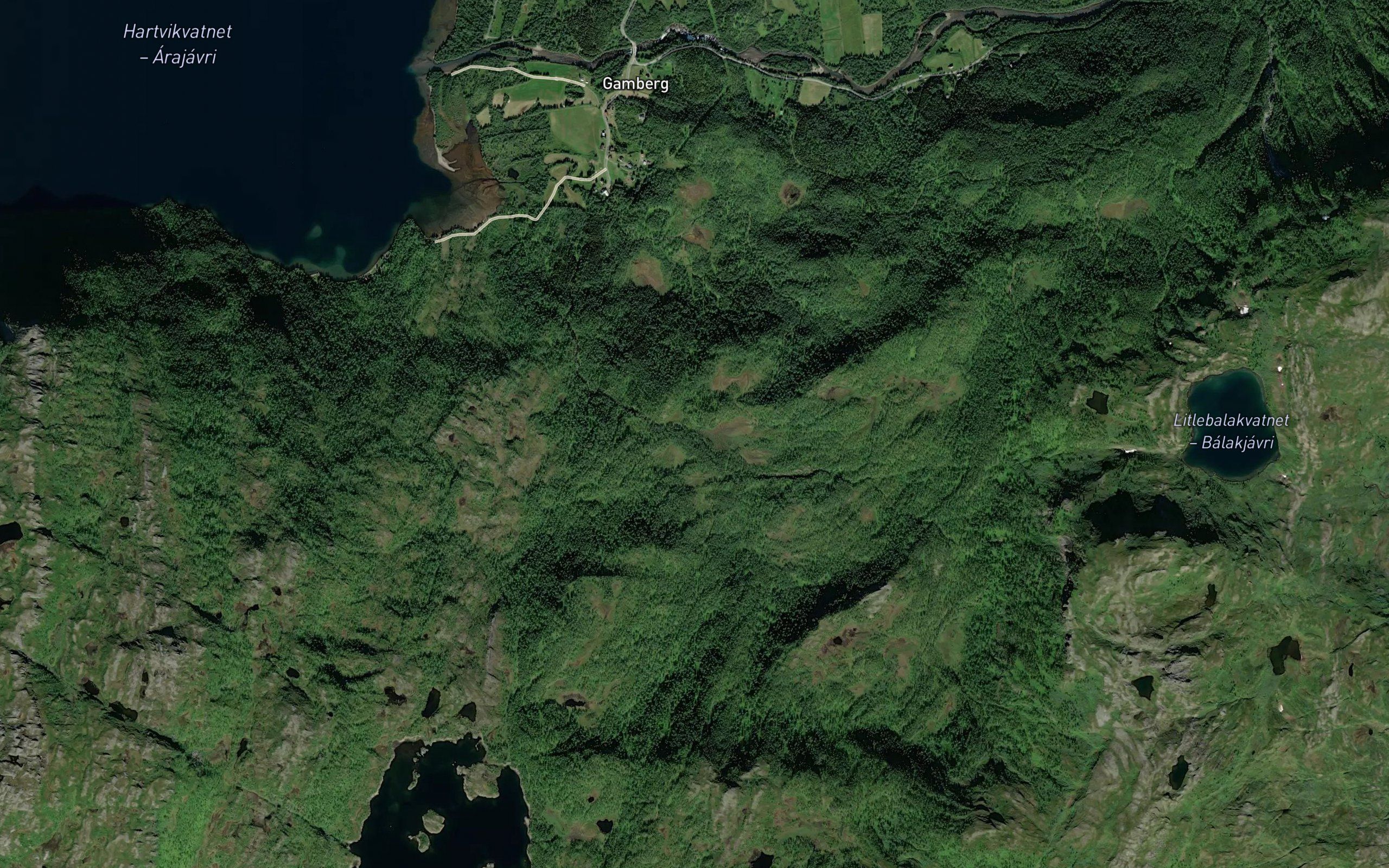 Krokelva