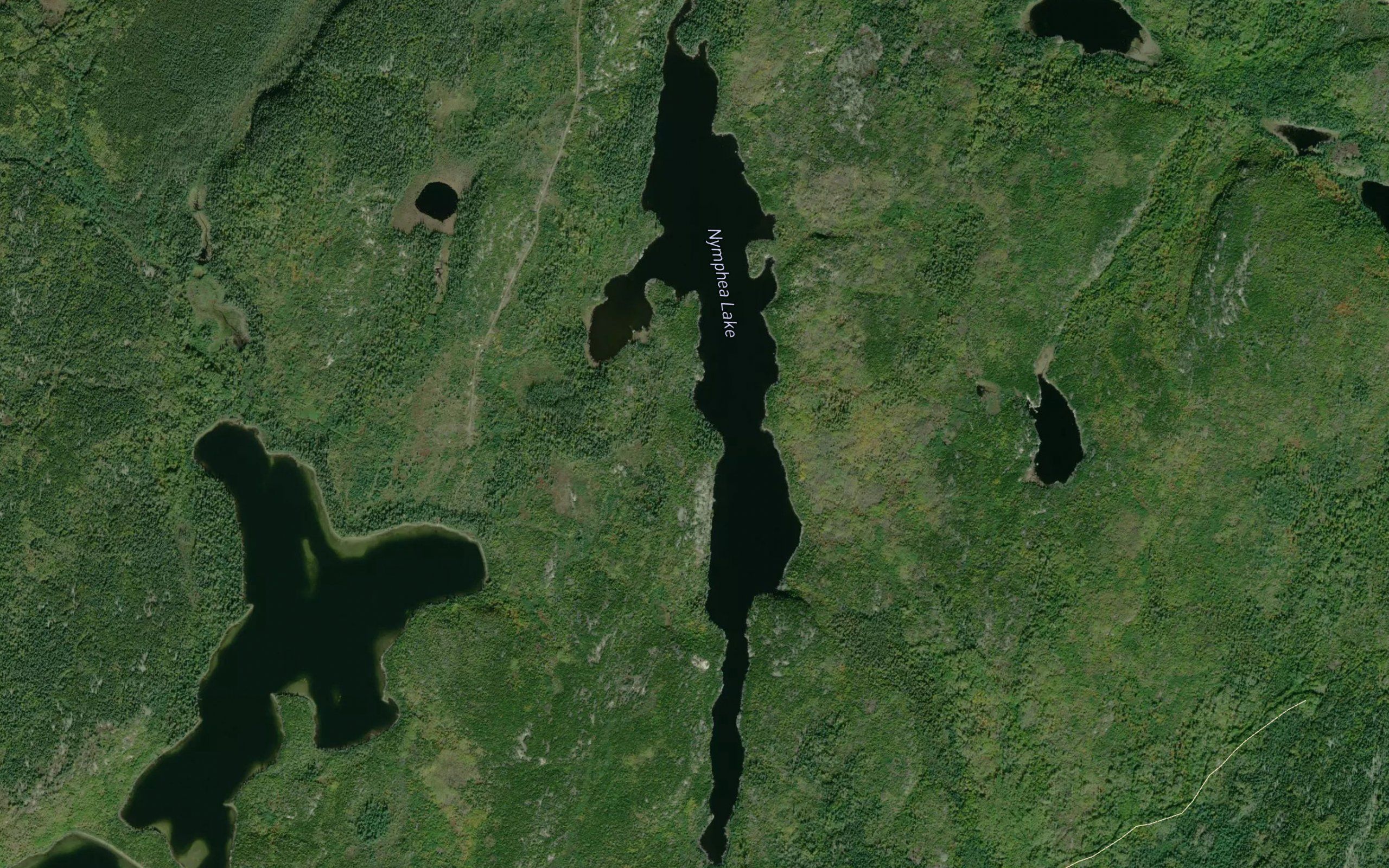 Nymphea Lake
