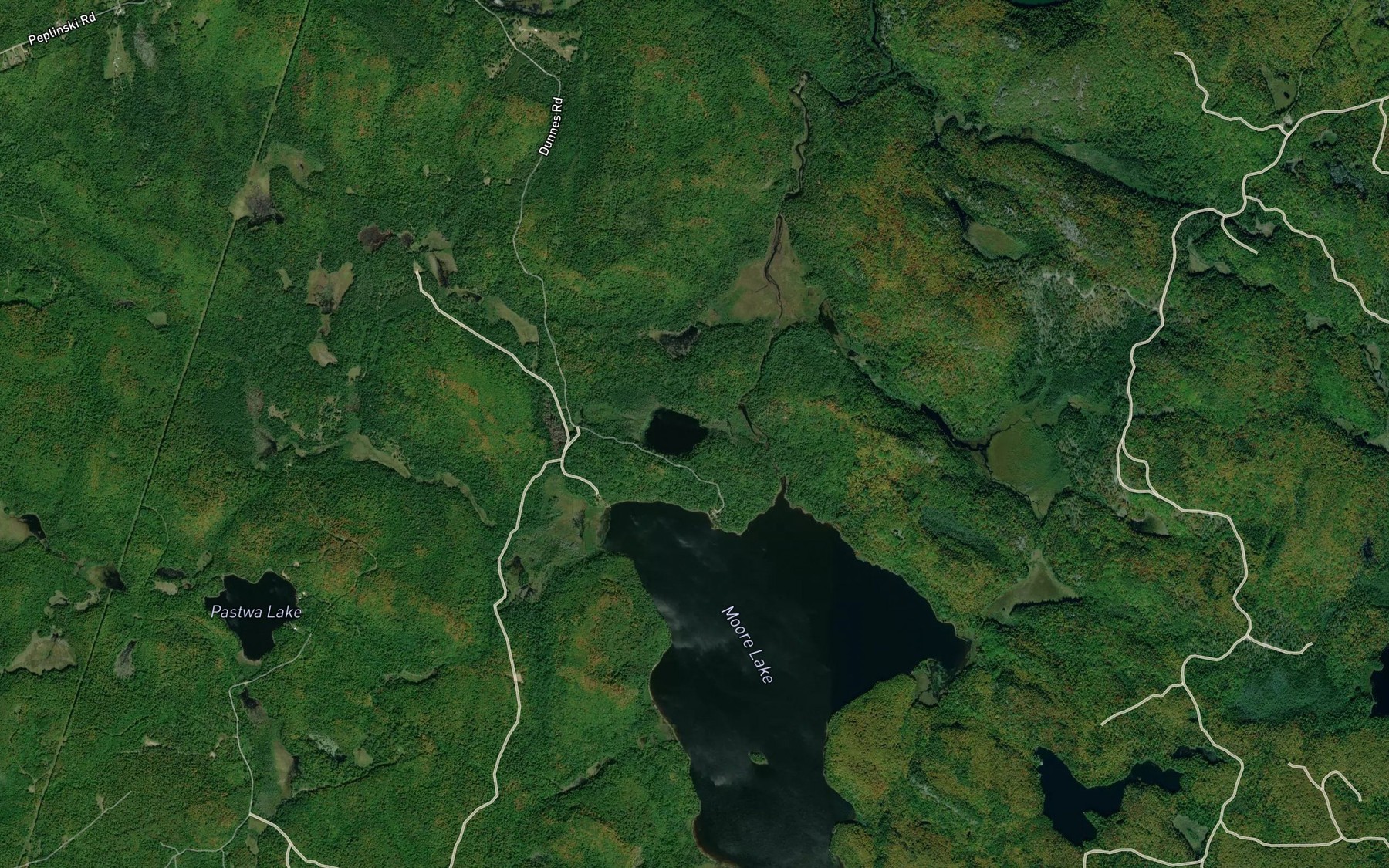 Satellite map of the Pastwa Creek