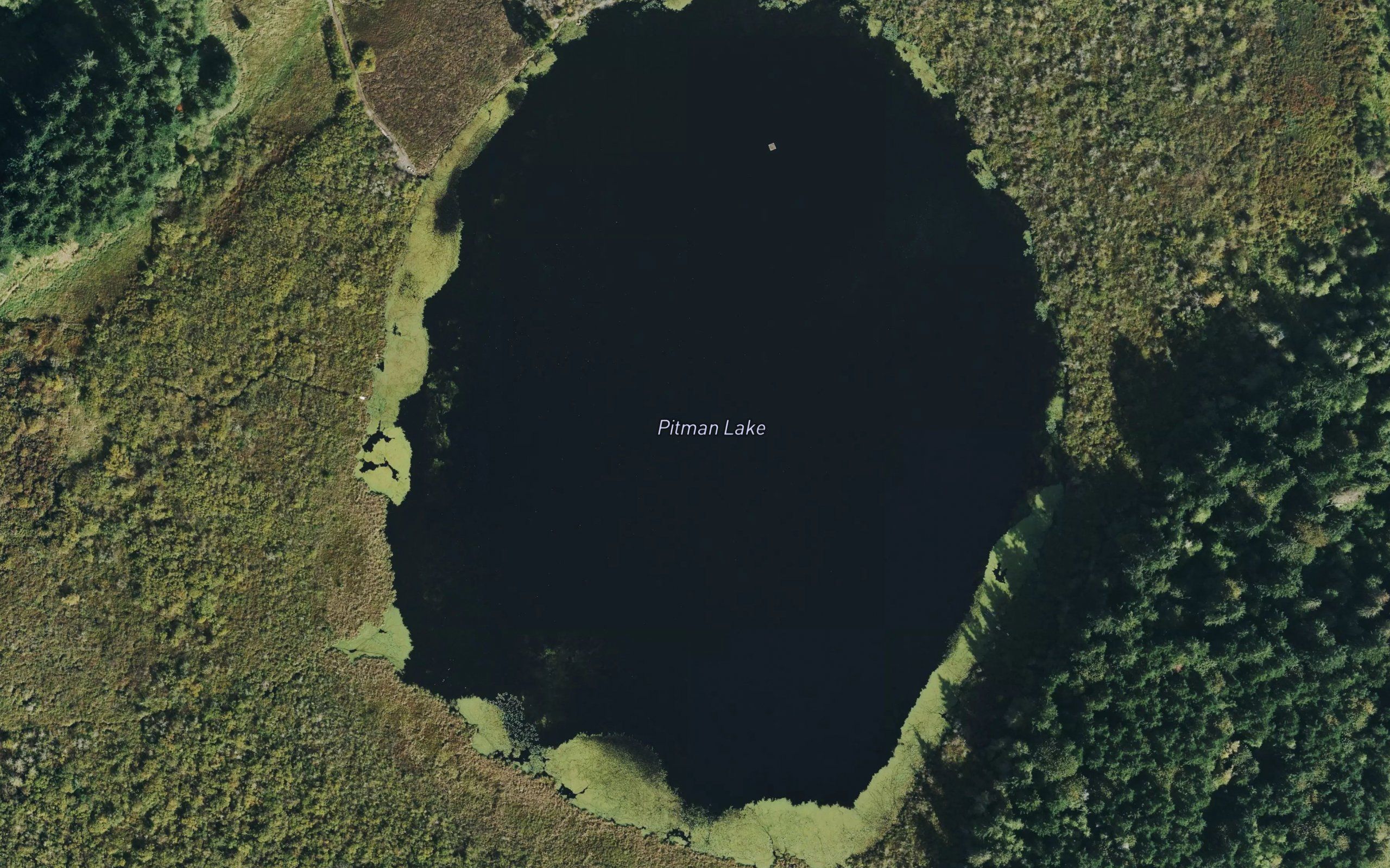 Pitman Lake