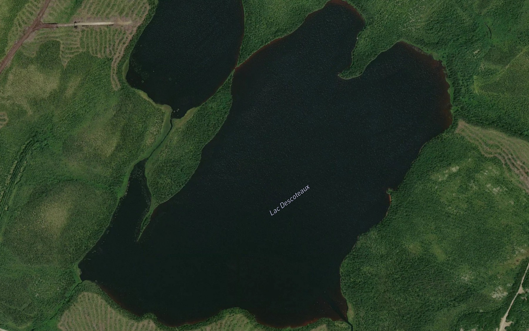Satellite map of the Lac Descoteaux